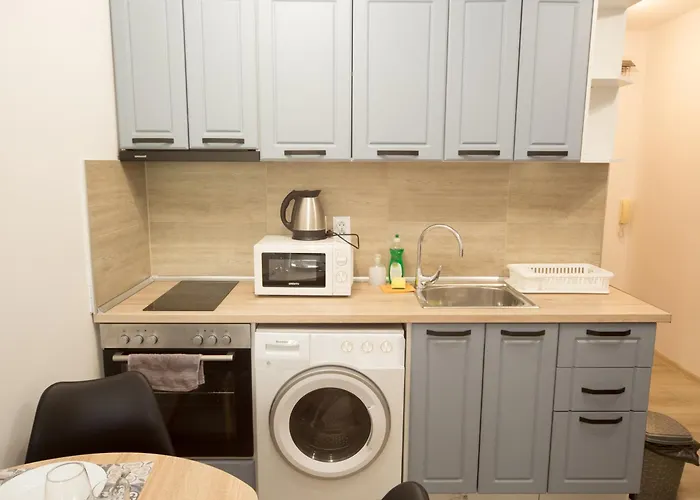 Lejlighed Aleks Center 2- Free Parking *